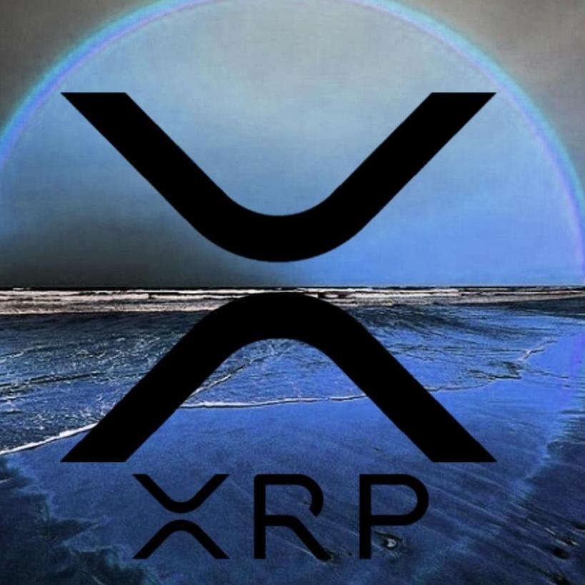 XRP NATION