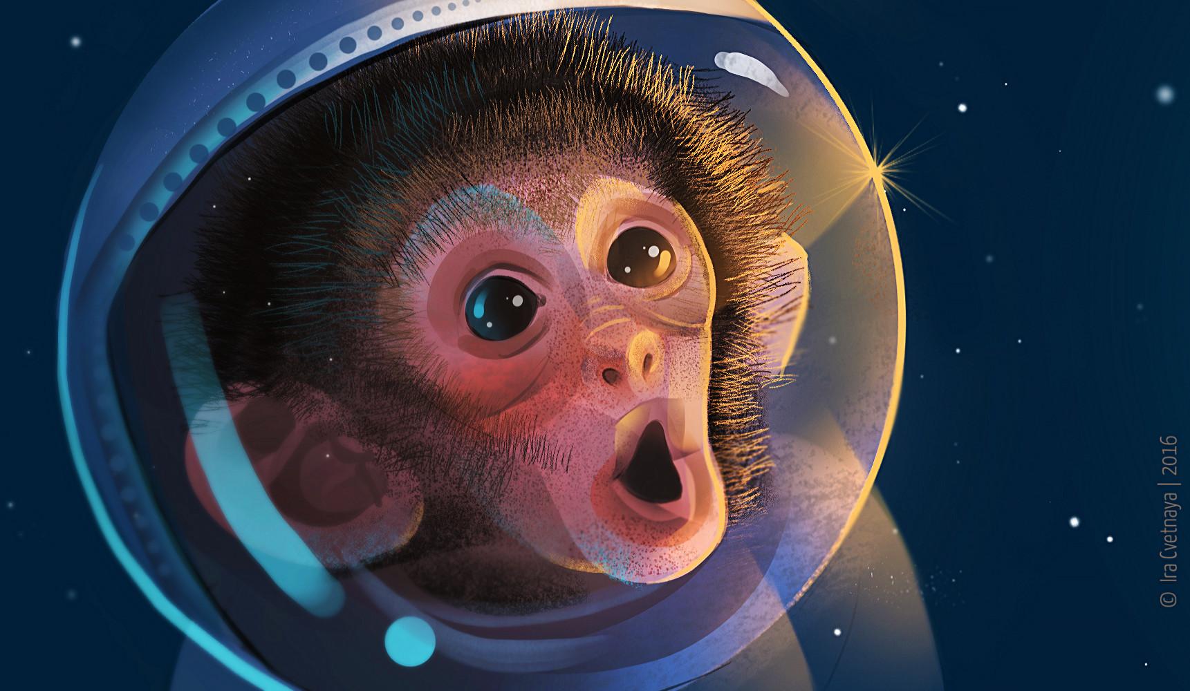 Космическая обезьянка